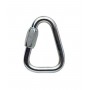 Petzl - Maillon Delta N 10